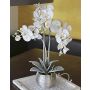 Artificial Phalaenopsis orchid KAREN, decorative pot, frosted, white, 24"/60cm