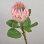 Decorative flower branch King protea TANIEKA, pink-white, 26"/65cm