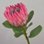 Decorative flower branch King protea TANIEKA, pink-green, 26"/65cm