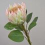 Decorative flower branch King protea TANIEKA, green-pink, 26"/65cm