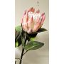 Decorative flower branch King protea TANIEKA, pink-white, 28"/70cm