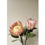 Decorative flower branch King protea TANIEKA, pink-white, 28"/70cm