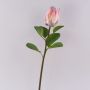 Decorative flower branch King protea TANIEKA, pink-white, 28"/70cm
