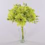 Decorative bouquet Gerbera TEMBAR, green-cream, 12"/30cm, Ø9"/22cm