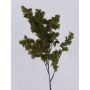 Artificial willow branch LOTTIKA with moss, green, 30"/75cm