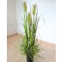 Decorative pampas grass TALINDA with panicles, green, 4ft/120cm