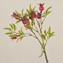 Decorative dog rose branch VIVEKA with rose hips, red, 20"/50cm