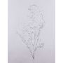 Decorative willow branch DONATELLA, silver, 37"/95cm