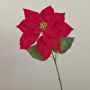 Velvet poinsettia LIBASSE, red, 20"/50cm