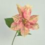 Velvet poinsettia LIBASSE, cream-pink, 26"/65cm