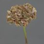 Artificial flower Hydrangea MANDISA, brown-pink, 26"/65cm