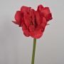 Decorative amaryllis MARKUNO, red, 24"/60cm
