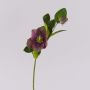 Artificial Christmas rose MITTWEIDA, violet-green, 14"/35cm