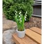 Artificial flower Lily of the valley NOMTHA in cement pot, white, 8"/20cm
