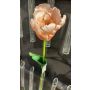 Plastic flower Parrot tulip PETSCHORA, apricot-pink, 26"/65cm