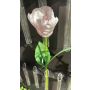Plastic flower Parrot tulip PETSCHORA, white-pink, 26"/65cm
