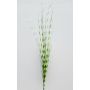 Fake zebra grass NANTINO on spike, green, 3ft/100cm