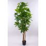 Artificial Schefflera MURSIK, real trunks, green, 6ft/180cm