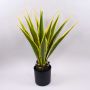 Artificial agave furcraea gigantea CHERIE, green-yellow, 31"/80cm