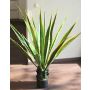 Artificial agave furcraea gigantea CHERIE, green-yellow, 31"/80cm