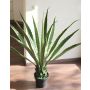 Artificial agave furcraea gigantea CHERIE, green-grey, 31"/80cm