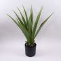 Artificial agave furcraea gigantea CHERIE, green-grey, 31"/80cm
