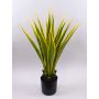 Artificial Agave furcraea gigantea CHERIE, green-yellow, 3ft/100cm