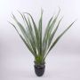 Artificial Agave furcraea gigantea CHERIE, green-grey, 3ft/100cm
