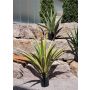 Artificial Agave furcraea gigantea CHERIE, green-yellow, 4ft/120cm