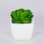 Decorative Echeveria elegans KATNISS, ceramic pot, green, 2.4"/6cm