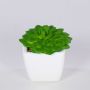 Decorative Echeveria gibbiflora KATNISS, ceramic pot, green, 2.4"/6cm
