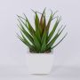 Decorative Agave decipiens KATNISS in ceramic pot, green-red, 7"/19cm