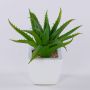Decorative aloe vera KATNISS, ceramic pot, green, 7"/19cm