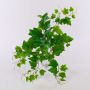 TEKLINA artificial grapevine on a stake, green, 50cm