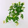 Artificial three-pointed maiden vine ZANTI on a stake, green-brown, 20"/50cm