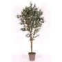 Artificial olive tree MIANA, natural stems, with fruits, 6ft/175cm - Made in Italy