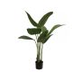 Artificial plant Strelitzia PANAGIOTA, green, 110cm
