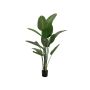 Artificial plant Strelitzia PANAGIOTA, green, 170cm