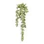 Artificial succulent pea plant FERTIN, stem, grey-green, 14"/35cm