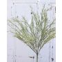 Artificial sedge RUSTY with panicles, green-grey, 18"/45cm