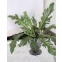 Artificial bird's nest fern ADRIENNE on spike, green, 12"/30cm, Ø18"/45cm