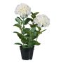 Decorative flower Hydrangea BINEFA, white, 24"/60cm