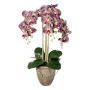 Artificial Phalaenopsis orchid FRIMTOR in terracotta pot, roots, green-purple, 30"/75cm