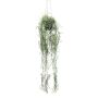 Decorative Tillandsia Usneoides hanging basket FRULD in decorative pot, green, 31"/80cm