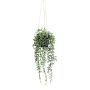Artificial succulent Senecio hanging basket GRISTY in decorative pot, green, 22"/55cm