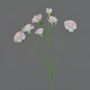 Artificial carnation branch PIARA, pale pink, 60cm, Ø3–5cm