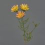 Artificial Cape strawflower BEYA, yellow-light orange, 60cm, Ø6cm