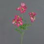Artificial cranesbill branch ZEDENA, pink-cream, 70cm, Ø6cm