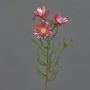 Artificial Cape strawflower BEYA, pink-pink, 60cm, Ø6cm