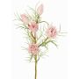 Decorative protea branch NOHEA, pink-white, 24"/60cm, Ø1.2"-2.4"/3-6cm